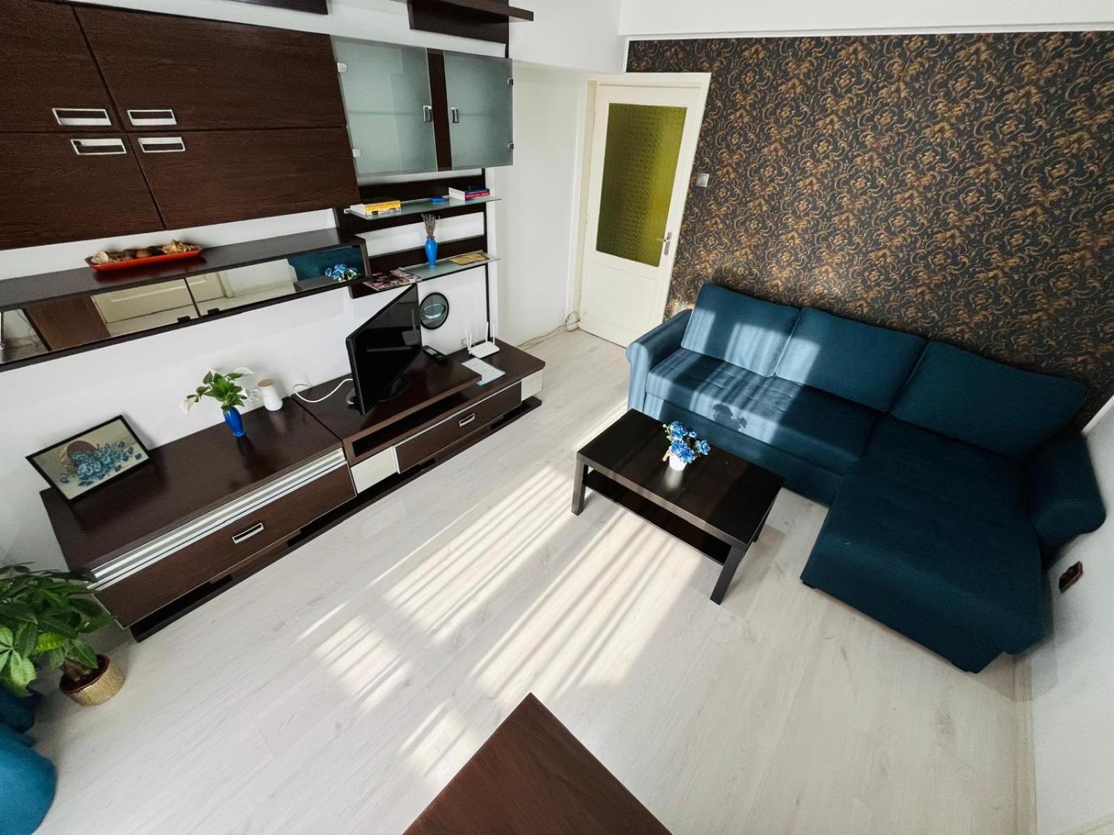 Apartment Calea Victoriei Chic