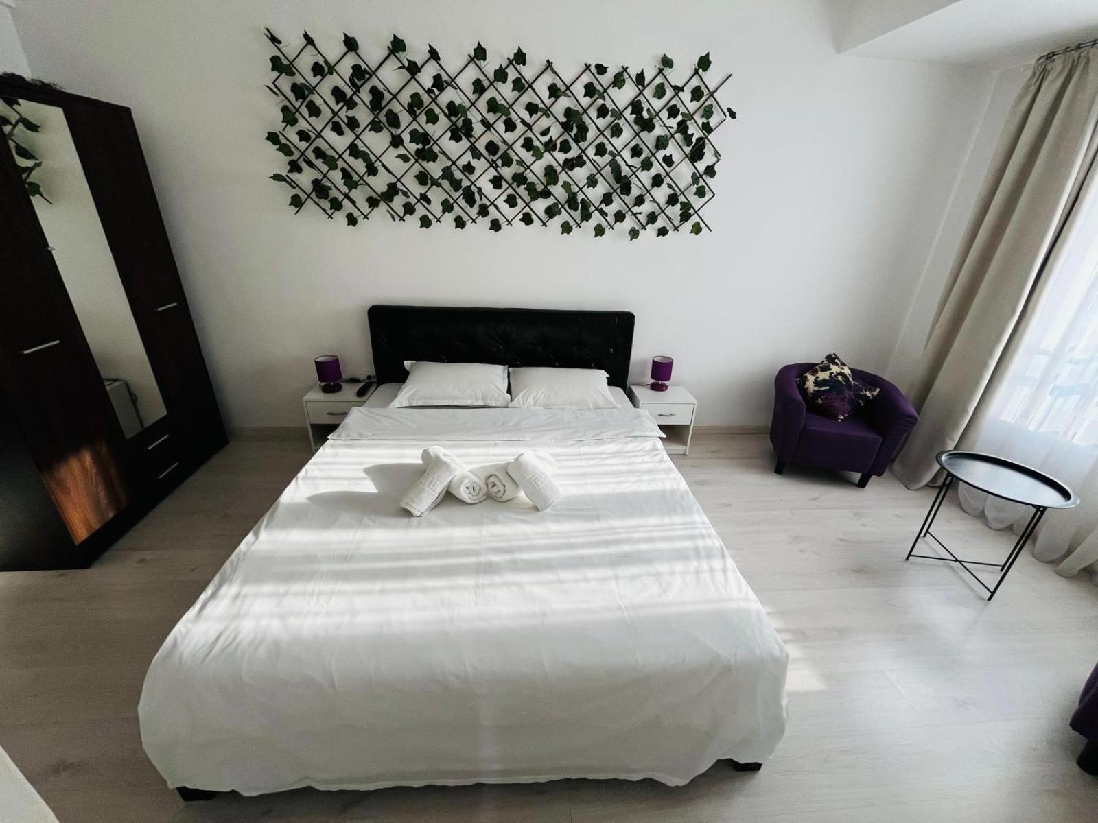 Apartment Calea Victoriei Chic